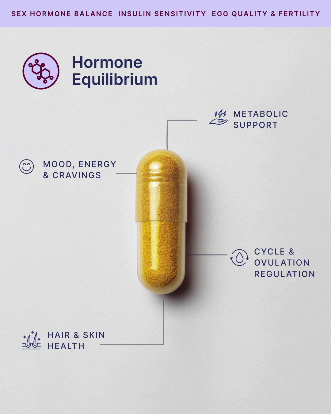 Hormone Equilibrium