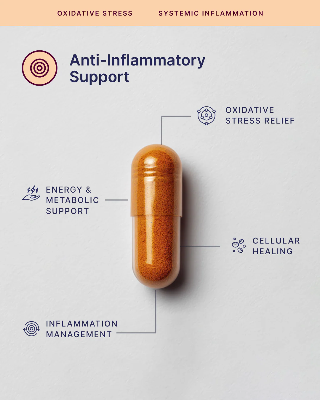 Anti-Inflammatory Support
