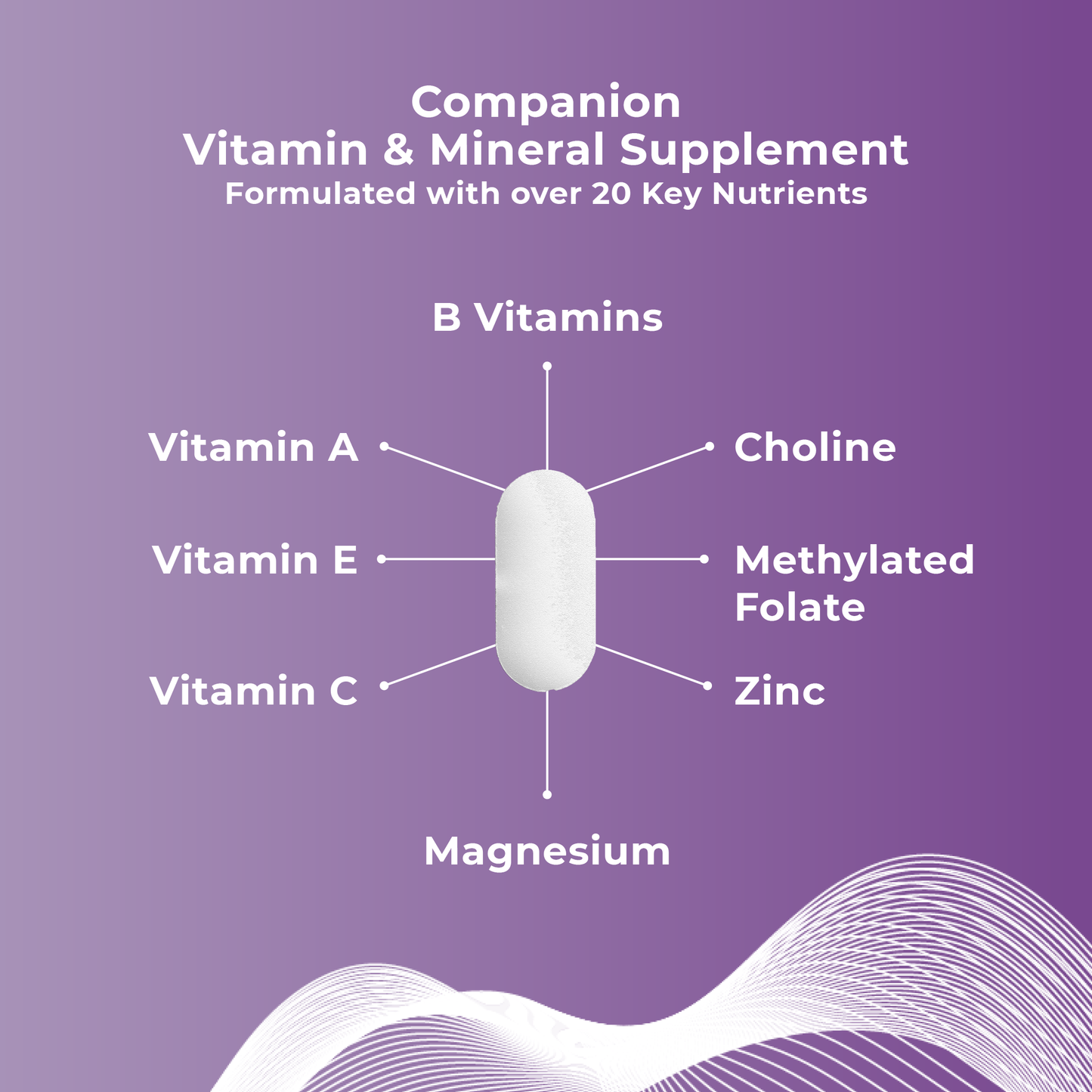 Companion Multivitamin Supplement