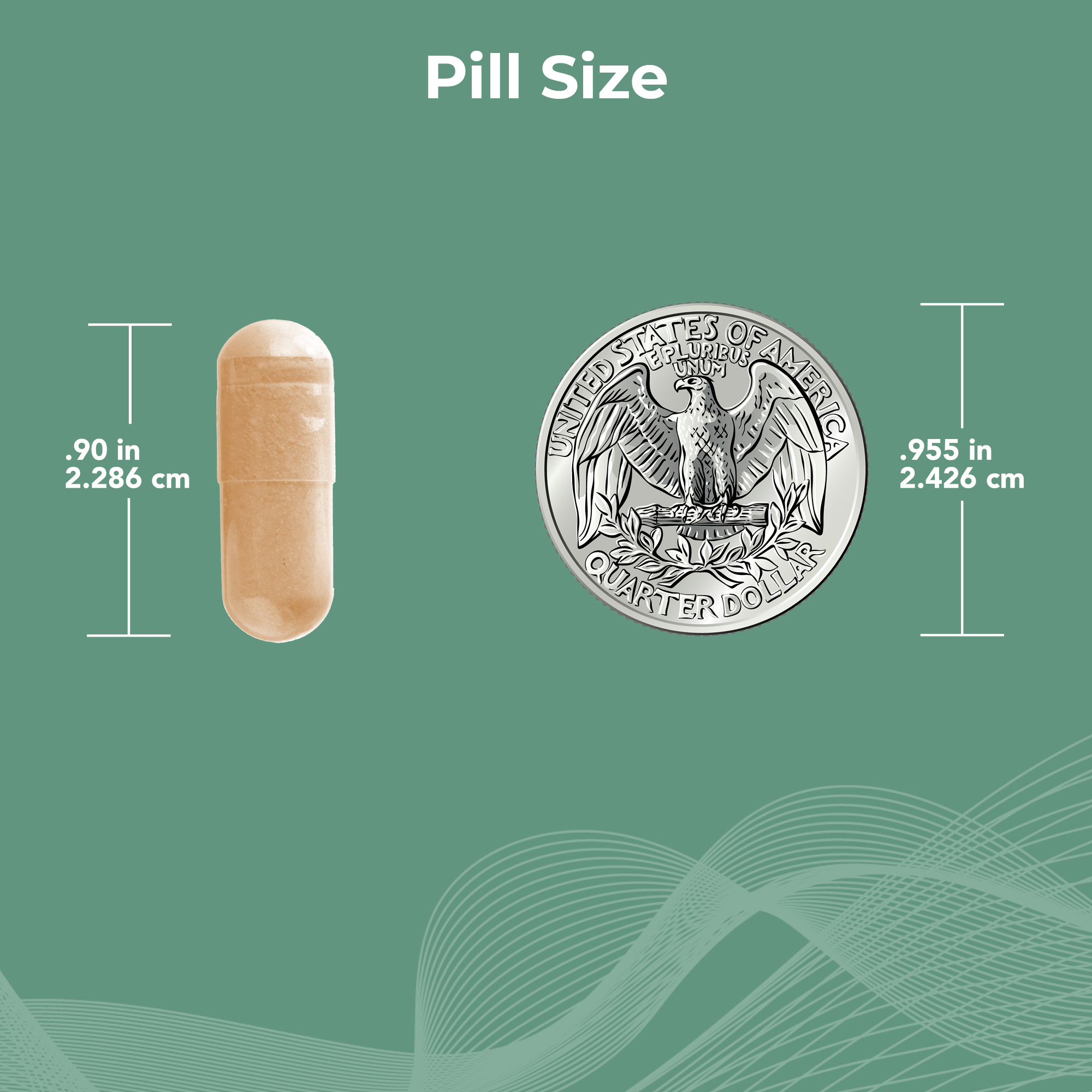 ProCerv HP® High-Potency Multivitamin